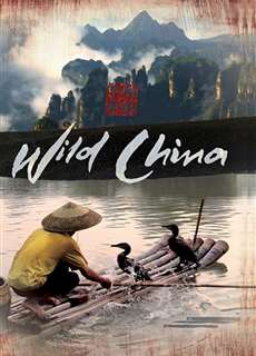 Thiên Nhiên Hoang Dã Trung Quốc - Wild China - (2008) - PhimMoi2024 - Website xem phim miễn phí tốt nhất