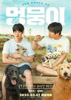 Tìm Nhà Cho Boss - My Heart Puppy - (2023) - PhimMoi2024 - Website xem phim miễn phí tốt nhất
