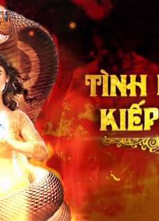 Tình Người Kiếp Rắn (Phần 1) - Tình Người Kiếp Rắn (Phần 1) - (2015) - PhimMoi2024 - Website xem phim miễn phí tốt nhất