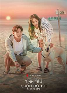 Tình Yêu Chốn Đô Thị - Lovestruck in the City - (2020) - PhimMoi2024 - Website xem phim miễn phí tốt nhất