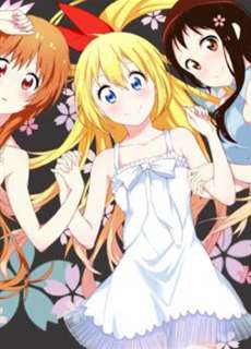 Tình Yêu Ngang Trái - NiseKoi - (2013) - PhimMoi2024 - Website xem phim miễn phí tốt nhất