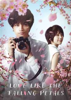 Tình yêu như cánh hoa rơi - Love Like the Falling Petals - (2022) - PhimMoi2024 - Website xem phim miễn phí tốt nhất