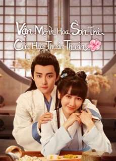 Vận Mệnh Hoa Sơn Trà Của Hứa Thuần Thuần - A Camellia Romance - (2021) - PhimMoi2024 - Website xem phim miễn phí tốt nhất