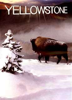Yellowstone - Yellowstone - (2009) - PhimMoi2024 - Website xem phim miễn phí tốt nhất